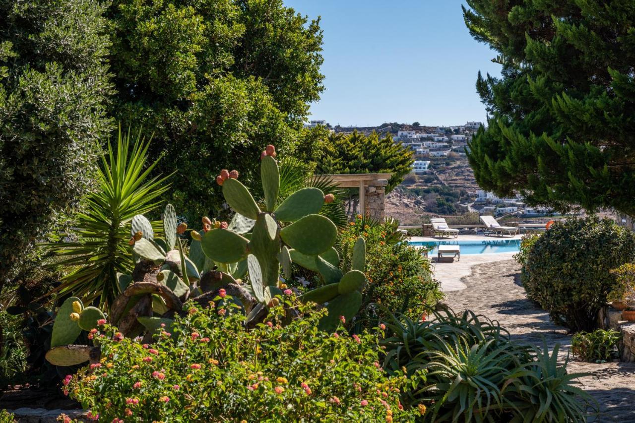 Yalos Mykonos Ornos Pouli Private Apartments W Shared Swimming Pool Mykonos Town المظهر الخارجي الصورة